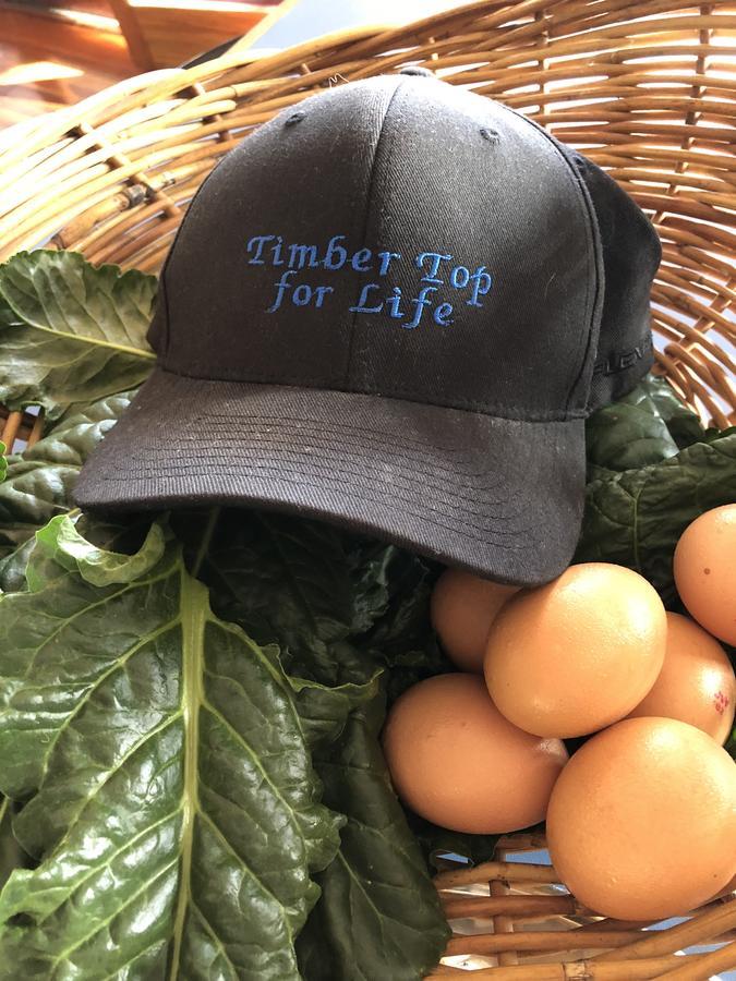 Timbertop For Life Διαμέρισμα Χρυσή Ακτή Εξωτερικό φωτογραφία